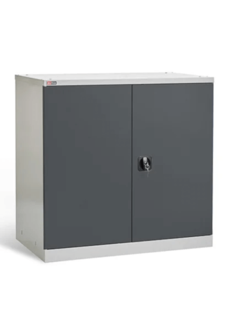 Шкаф инструментальный ДиКом ВЛ-051-02 купить в Архангельске