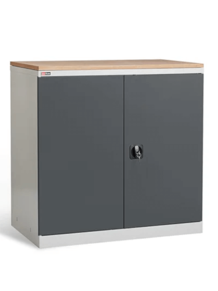 Шкаф инструментальный ДиКом ВЛ-051-04 купить в Архангельске