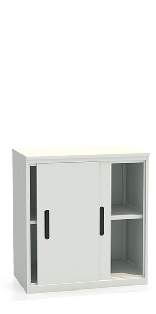 Шкаф-купе архивный ALS-8896 купить в Архангельске Шкаф-купе архивный ALS-8896 купить в Архангельске