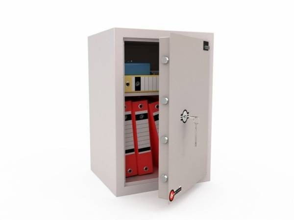 Лёгкий сейф  LS-010 R купить в Архангельске